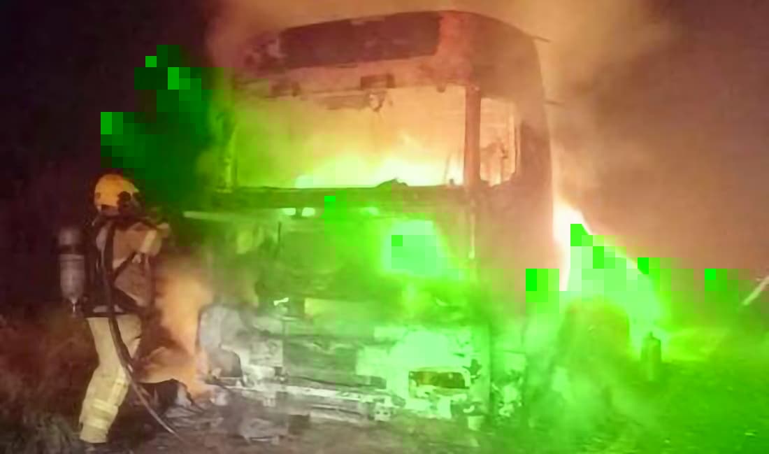 Cavalinho de carreta é destruído por incêndio em São Luiz Gonzaga