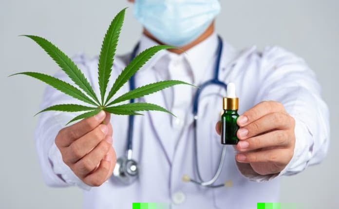 Anvisa aprova regulamentação para cultivo de cannabis com fins medicinais no Brasil