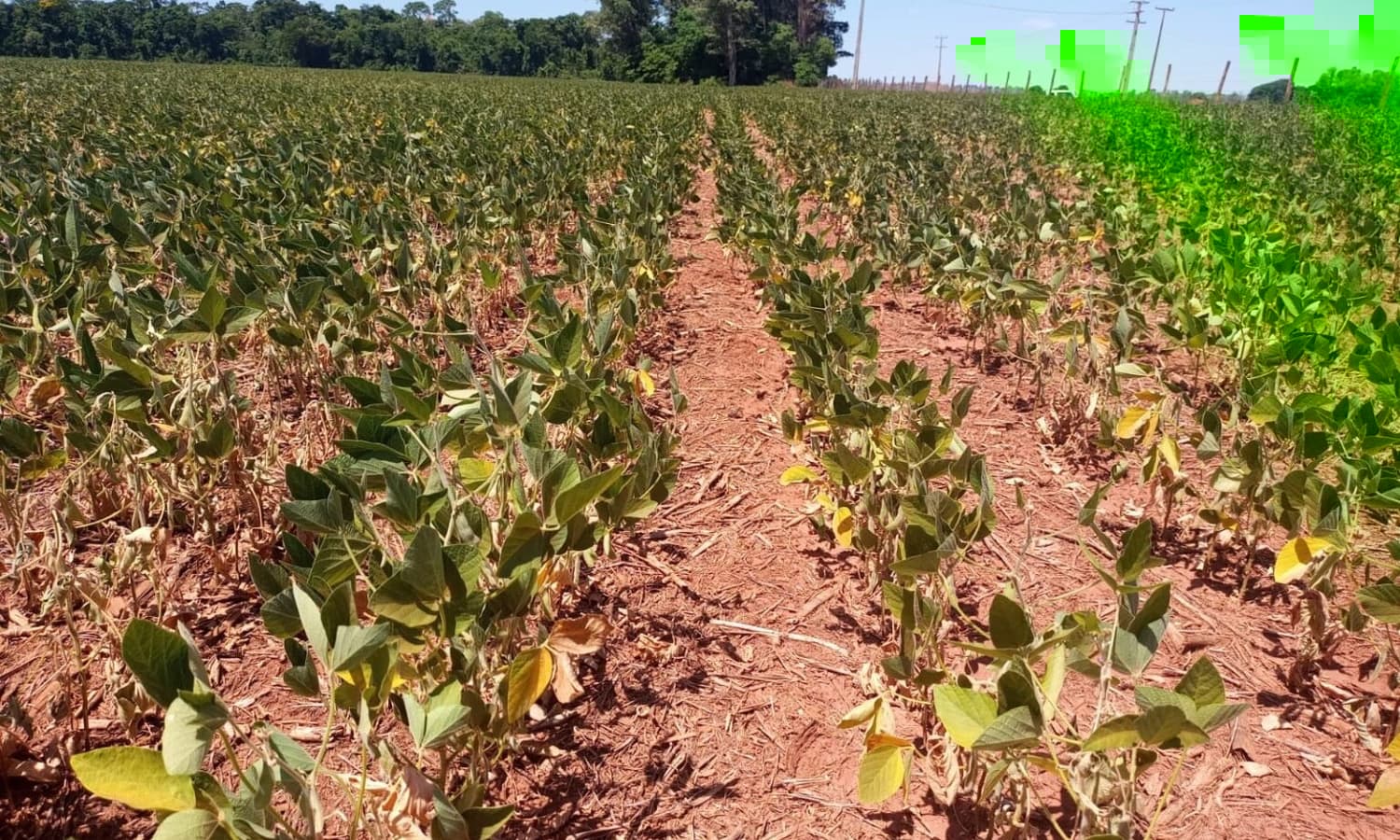  CMN aprova pacote de medidas que amplia o apoio financeiro a produtores rurais