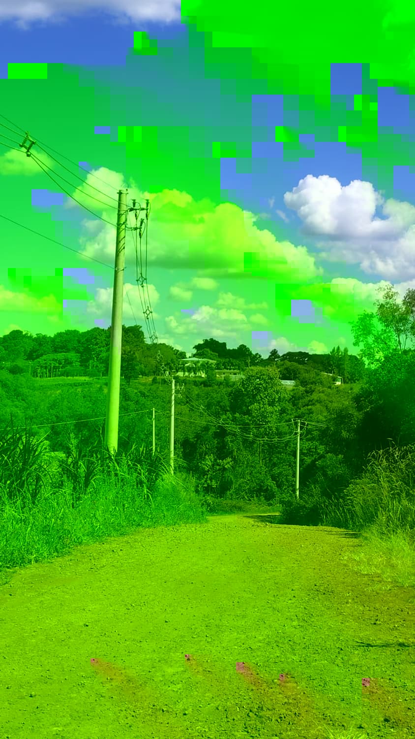 Imagem 6