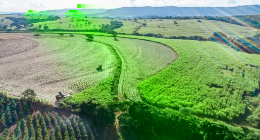 Nova Lei do Licenciamento Ambiental entra em vigor e altera regras para produtores 