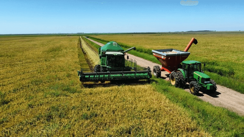 Levantamento do governo do RS aponta que agropecuária retoma crescimento em 2026